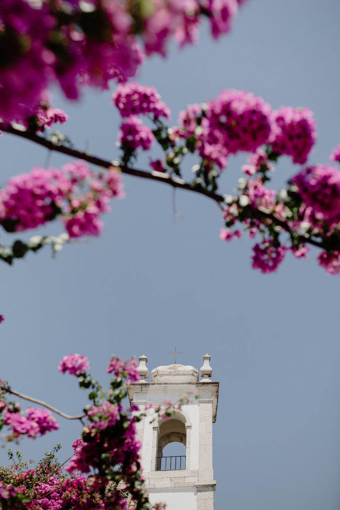 Flowers in Lisbon